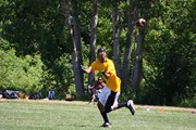 OTFL Gallery Image